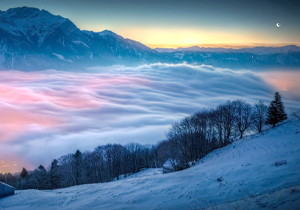 ZblogPHP调用指定分类下的子分类，一级分类下面的所有分类